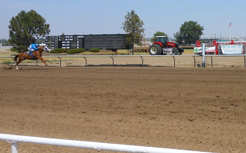 Racehorses and jockeys on a dirt track